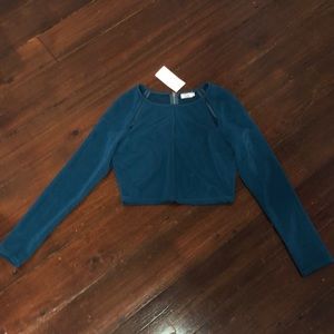 Tobi long sleeve crop top